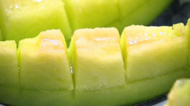 初夏の味覚・アムスメロンの出荷ピーク 朝から50人が行列、5万円以上購入する人も… 愛媛・西条市|TBS NEWS DIG