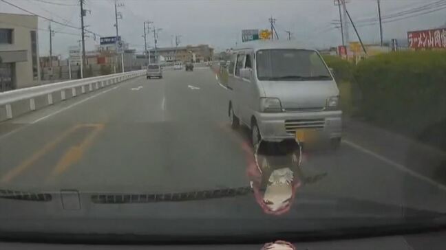 【ドラレコ映像】「うお、危ね!」国道20号でまた逆走車 現場は緩やかなカーブ 山梨|TBS NEWS DIG