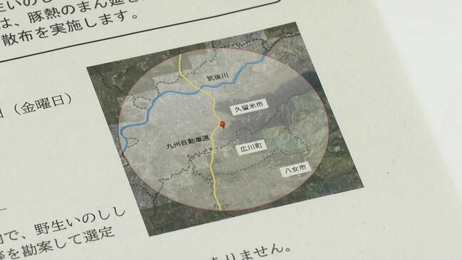 野生のイノシシが豚熱に感染　今年2例目　福岡県が経口ワクチン1600個を散布へ|TBS NEWS DIG