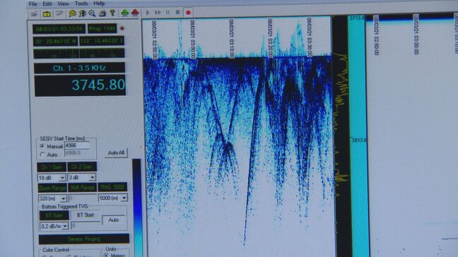 海底に15センチの堆積　濁りも数倍高く酸素濃度も低下　海底調査で明らかに　シロエビやベニズワイガニの不漁の原因か　富山|TBS NEWS DIG