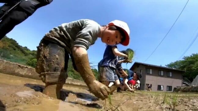 「上手に田植えできた」児童らが田植えに挑戦 愛媛・伊予市|TBS NEWS DIG