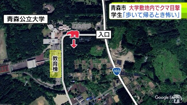【詳報】クマの目撃情報あった青森公立大学　学生は「歩いて帰るときもあるので怖い…」　看板設置・職員がチラシ配布で注意呼びかけ|TBS NEWS DIG