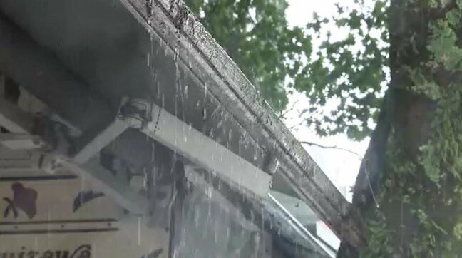 【台風15号】長野県内を横断、熱帯低気圧に…東信地方で倒木数件確認…12日夕方にかけて「大気の状態不安定」雷を伴った激しい雨が降るところがある見込み|TBS NEWS DIG