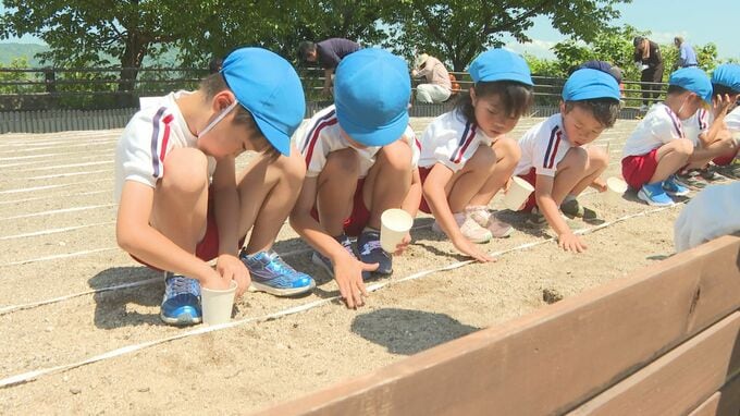 夏に向けた準備　瀬戸内海を望む景観の場所で園児がひまわりの種まき　山口・下松　|　山口のニュース・天気・防災｜tys NEWS｜ｔｙｓテレビ山口