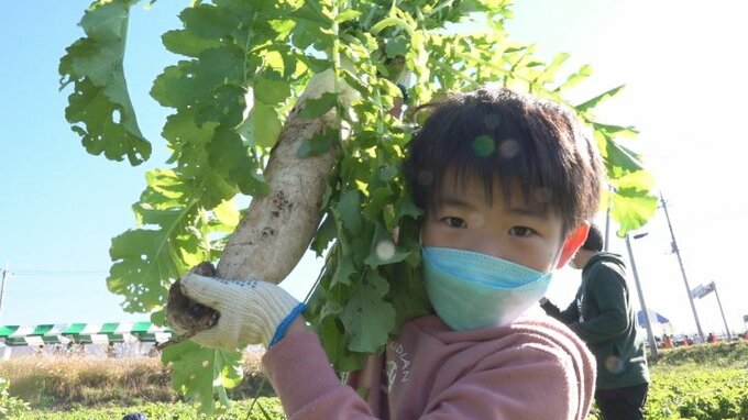 ２年ぶりの開催　浅尾ダイコンまつり　1袋1000円で詰め放題にぎわう　　　|　山梨のニュース | ＵＴＹテレビ山梨