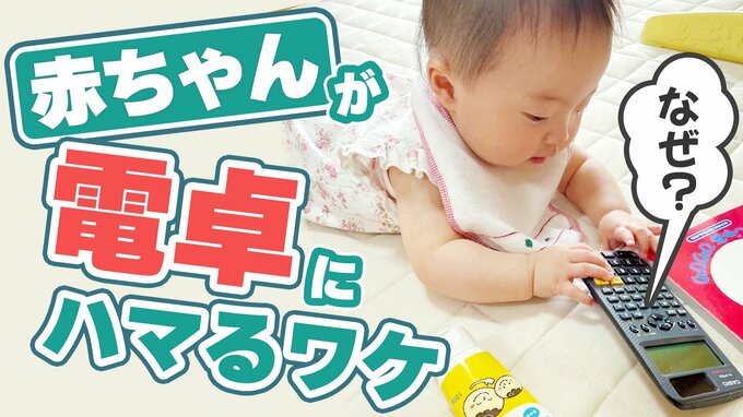 「電卓はライバルでしかない」あるある?電卓に夢中になる赤ちゃんたち 玩具メーカーも嫉妬する電卓の魅力|TBS NEWS DIG