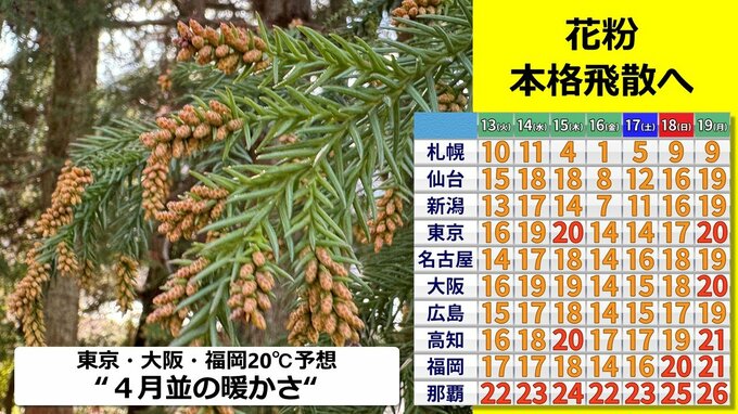 スギ林では花粉 “飛散準備OK”  ３連休あけ“４月並み”気温急上昇　東京・大阪・福岡20℃　札幌10℃超え予想　花粉飛散も本格化へ　２月下旬は気温低下 “激しすぎる寒暖差”に注意　|　RCC NEWS | 広島ニュース | RCC中国放送