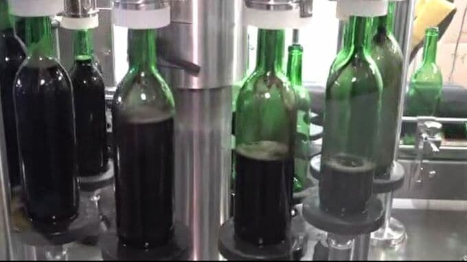 能登ワインの新酒 「能登ワインヌーボー」の瓶詰め作業が最盛期 石川・穴水町|TBS NEWS DIG