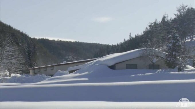 落雪事故か　倉庫の屋根から落ちたとみられる雪に埋もれた72歳の男性発見　その場で死亡確認　男性の周りには約3ｍの雪　青森市|TBS NEWS DIG