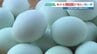 この卵、何色…？ 答えは「青」 希少なニワトリが産む“雲海ブルーのたまご”　生産者にいろいろ聞いてみた　|　熊本のニュース｜RKK NEWS｜RKK熊本放送