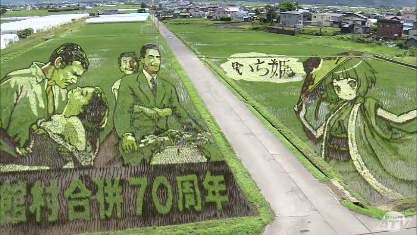 雑草対策ばっちりで「田んぼアート」鮮明に浮かぶ 稲も順調に生育で7月