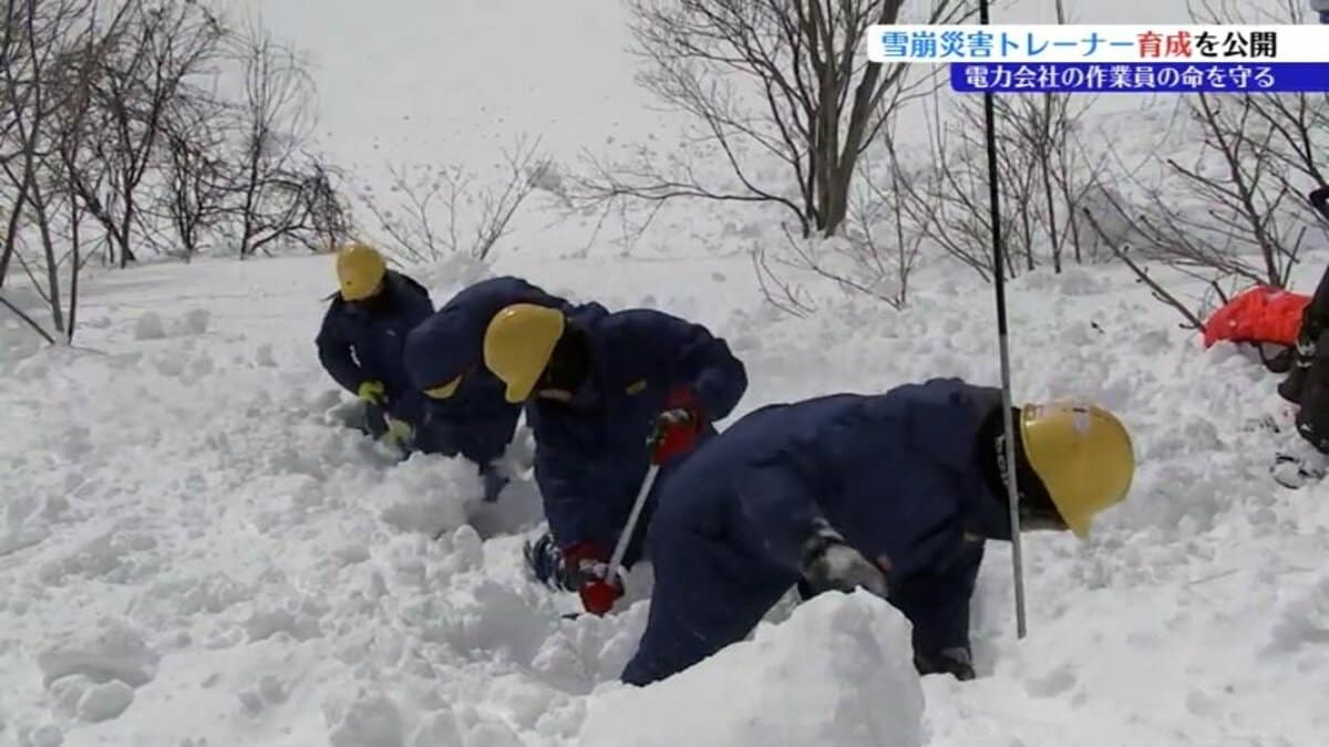 作業員を雪崩の被害から守れ 電力会社が雪崩災害トレーナーの育成に