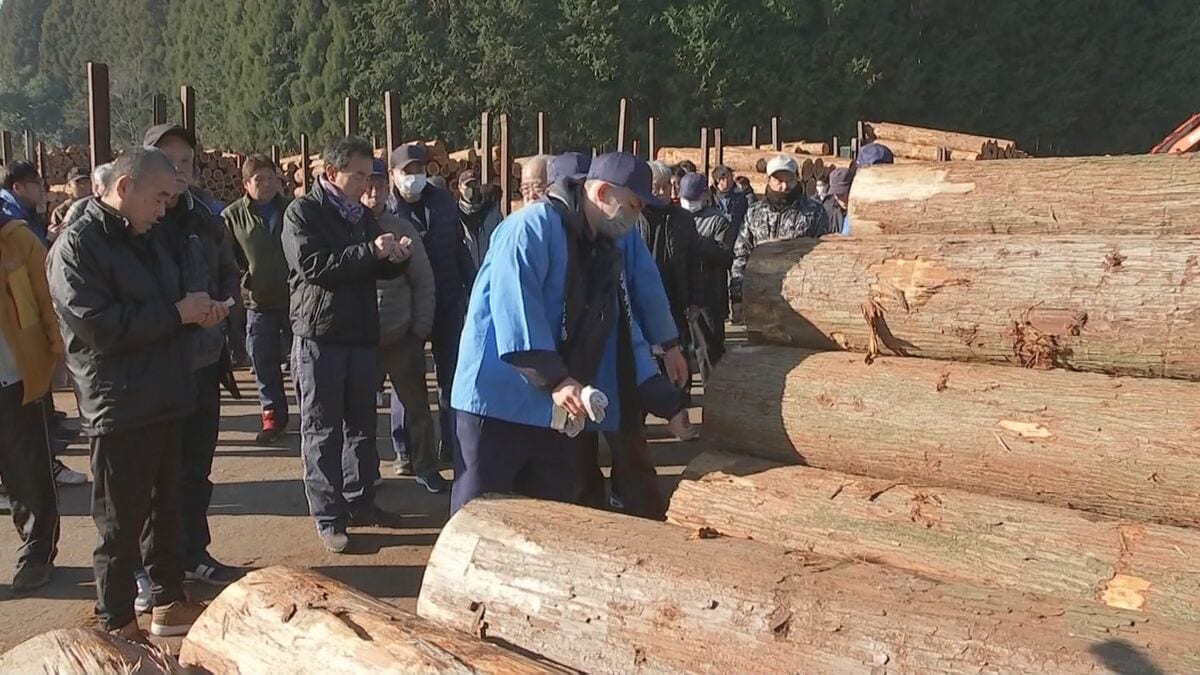 スギ・ヒノキ価格は前年並み 木材の初競り、物価高への対応が課題に