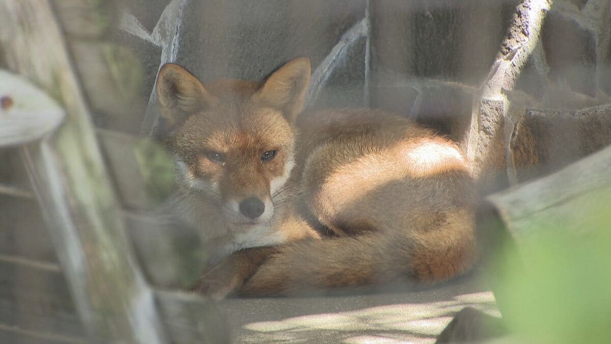 img_1ed7ec09a021ea6af1365de9e6