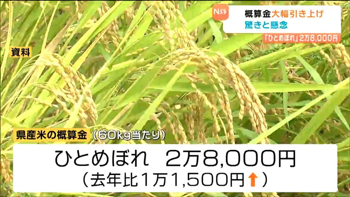 コメ概算金「ひとめぼれ」2万8000円に大幅引き上げ 農家驚きと