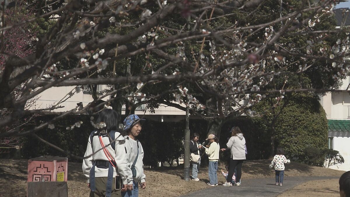 春の暖かさ　大分市で15.6度を記録　24日からは一転して雨の見込み