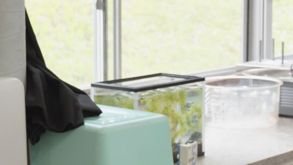 地震発生時そのとき学校は…  岐阜･高山市で震度4 名古屋でも震度1を観測  津波の心配なし