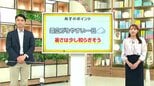 高知の天気　29日　雲広がり日差し控えめの一日　山岸拓気象予報士が解説|TBS NEWS DIG