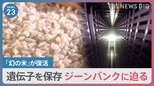 「まるでタイムカプセル」注目の遺伝子銀行＝ジーンバンクに迫る…高校生が復活させた「幻の米」を地域資源に|TBS NEWS DIG
