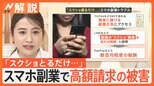 「スクショ送るだけで報酬」スマホ副業でトラブル相次ぐ 被害総額は10億円超か “簡単に稼げる副業”に注意【Nスタ解説】|TBS NEWS DIG