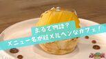まるで物語?メニュー名が超メルヘンなカフェ!【ふくしまSHOW】 | 福島のニュース│TUF