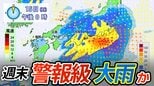 【警報級の大雨か】14日（日）～15日（月）東日本・西日本の太平洋側で　13日（土）にかけて先島諸島で　台風のたまご「熱帯低気圧」由来の低気圧が梅雨前線を活発化【15日（月）までの雨と風のシミュレーション】※11日午前6時半更新|TBS NEWS DIG