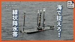 九州の線状降水帯を作りだす「水蒸気」を測定へ　早期予測や精度向上めざす観測を東シナ海に拡大　NTTとOISTが共同研究|TBS NEWS DIG