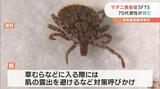 マダニによる感染症で70代男性が死亡 治療受けるも容態悪化 愛媛|TBS NEWS DIG