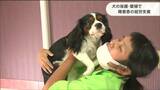 「工賃が増えれば生活の選択も増える」“保護犬の世話と障害者の就労支援”両立目指す取り組みとは?|TBS NEWS DIG