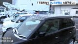 伊豆半島南部の下田市で雹（ひょう）　歩道などにうっすらと＝静岡|TBS NEWS DIG