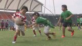 子どもたちも全力プレーで「ラグビーワールドカップ日本代表」にエール！　480人がタグラグビーで交流　|　熊本のニュース｜RKK NEWS｜RKK熊本放送