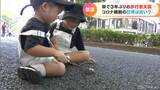 「当たり前の日常に少しだけ近づけた…」3年ぶりの“歩行者天国” 名古屋・栄 | 名古屋・愛知・岐阜・三重のニュース【CBC news】 | CBC web