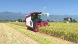 コシヒカリの収穫始まる…梅雨明けから気温が高く生育進み、作業開始は例年より4日から5日早い…気になるコメの価格…信州・安曇野の稲刈りは10月上旬まで続く | SBC NEWS | 長野のニュース | SBC信越放送