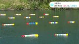 四万十川で間伐材の“丸太”に描かれたカラフルなコイ 川面彩る 高知・四万十町 | 高知のニュース・天気|KUTV NEWS | KUTVテレビ高知