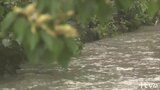 大気の状態が不安定 局地的に雷を伴った激しい雨も 愛媛 | 愛媛のニュース - Nスタえひめ|あいテレビは6チャンネル