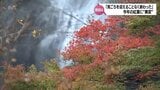五ケ瀬町では見ごろも・・・宮崎県内の紅葉に"異変" 「見ごろを迎えることなく紅葉が終わってしまった」 | MRTニュース | MRT宮崎放送