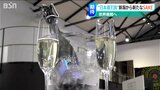 "日本酒王国”新潟から国内、そして世界へ…"スパークリングタイプの日本酒”が新たに誕生|TBS NEWS DIG