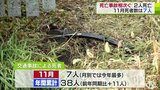 11月の交通事故による死者7人で2023年最多　死亡事故相次ぐ青森県　27日・28日にも単独死亡事故発生で男性2人が死亡|TBS NEWS DIG