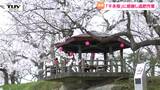 人々の目を楽しませた "千本桜" に感謝を 桜の名所 "烏帽子山公園" で木々に栄養を与える追肥作業(山形・南陽市) | 山形のニュース│TUYテレビユー山形