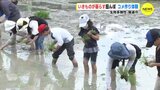 いきものが暮らす田んぼ コメ作り　消費者が体験　生物多様性　|　RCC NEWS | 広島ニュース | RCC中国放送