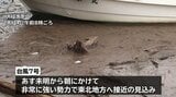 「早く撤去を」 台風5号で流木などがたまった岩手・大槌町の漁港で漁師が対策 台風7号17日未明から朝にかけ東北地方接近に備え|TBS NEWS DIG
