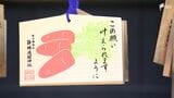 "馬に願う"と願いが叶う？2026年の干支は「午」！ 家光公ゆかりのパワースポット・静岡浅間神社で「叶え馬」【くるちゃんさんぽ】|TBS NEWS DIG