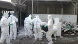 西条市で発生の鳥インフルエンザ ニワトリや卵の移動制限を解除 | 愛媛のニュース - Nスタえひめ|あいテレビは6チャンネル