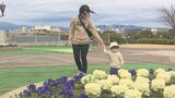 九州北部で春一番 気温ぐんぐん上昇 豊後高田市で今年最高の21.9度、大分市で20.4度 | 大分のニュース|OBS NEWS|大分放送