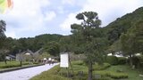 令和の大改修中でも楽しめます　国宝・瑠璃光寺五重塔・時代絵巻設置|TBS NEWS DIG