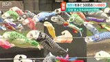 今年は例年より“2週間ほど長く”泳ぎます およそ500匹の「こいのぼり」新潟県加茂川 | 新潟のニュース・天気|BSN NEWS|BSN新潟放送