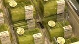 「めっちゃまっちゃロール」学生と食品スーパーが共同開発 静岡県内産の抹茶とニューサマーオレンジジャム使用=静岡・沼津市 | 静岡のニュース | SBSNEWS | 静岡放送