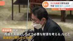 子育て関連支出「倍増」で岸田総理の真意は　児童手当の所得制限撤廃は　子ども政策めぐり国会で論戦| TBS CROSS DIG with Bloomberg