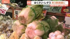 来月は白菜やレタス、ピーマンなどが高騰か　各地で続く長雨の影響| TBS CROSS DIG with Bloomberg
