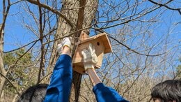 「地域に生息する野鳥のために」60年以上前から続く伝統の行事　盛岡市立城東中学校の巣箱かけ行われる　42年前の映像もみてもらいました　|　IBC NEWS | IBC岩手放送